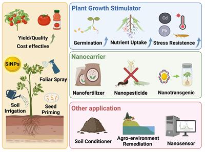 Silicon nanoparticles in sustainable agriculture: synthesis, absorption, and plant stress alleviation